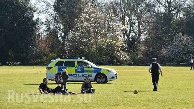 Шашлык по-британски: тысячи лондонцев вышли на пикники, игнорируя карантин (ФОТО, ВИДЕО) | Русская весна