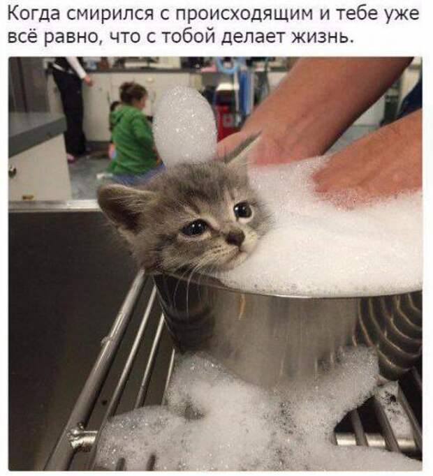 Шикарные приколы в стиле "Когда..."