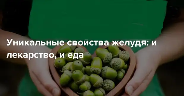 Уникальные свойства желудя: и лекарство, и еда...