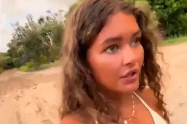 Туристка сняла рискованное видео на пляже с дикими собаками и стала предвестницей трагедии