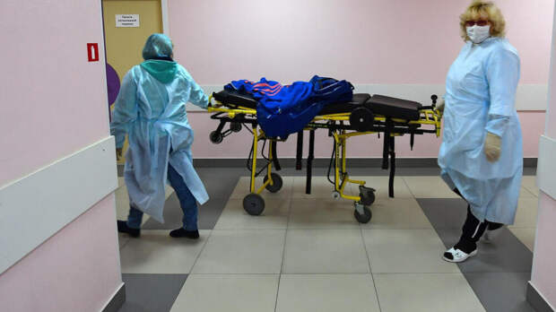 В Подмосковье выявили второй случай оспы обезьян: возможна ли эпидемия