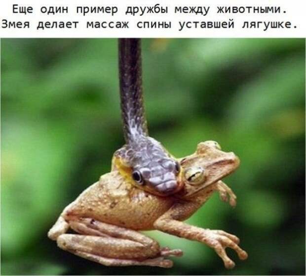 Позитивный пост+ 152