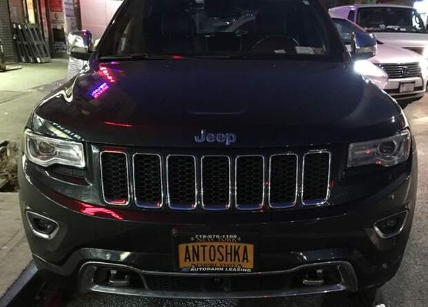 «Русские» автомобильные номера в США (25 фото)