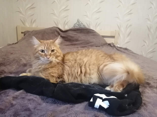 Вещи, которые нельзя стирать в машинке