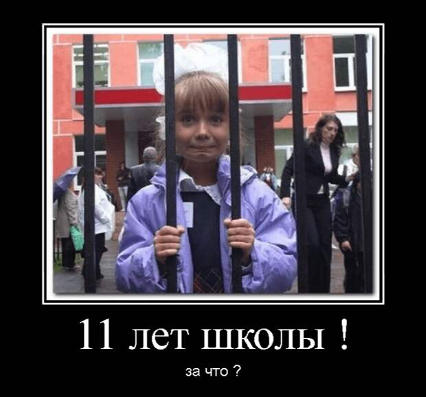 покупке интересные фотографии демотиваторы участвует кубках