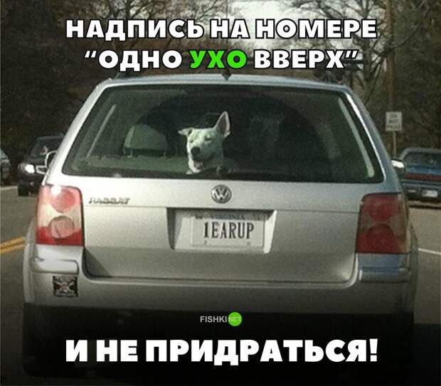 Свежая подборка автоприколов авто, автоприколы, приколы