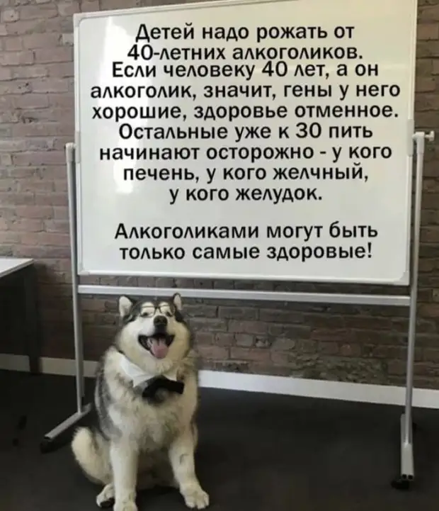 Шутки и мемы из Сети (15 фото)