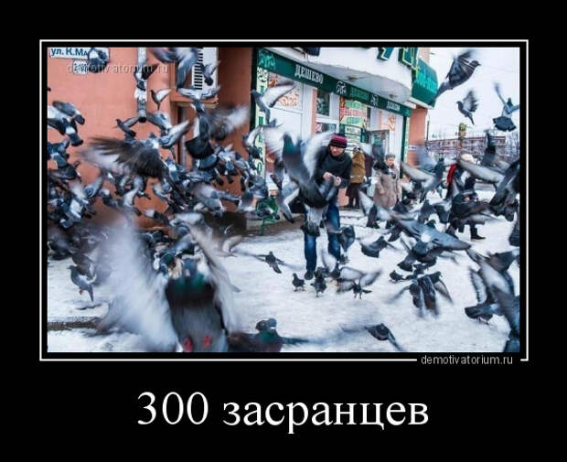 5402287_demotivatorium_ru_300_zasrancev_171739 (600x489, 128Kb)