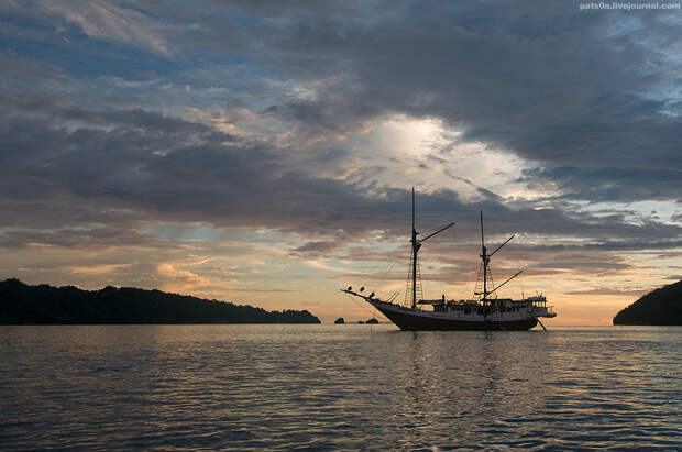 аренда яхт в крыму Фотография: Волшебный мир архипелага Раджа Ампат №5 - BigPicture.ru