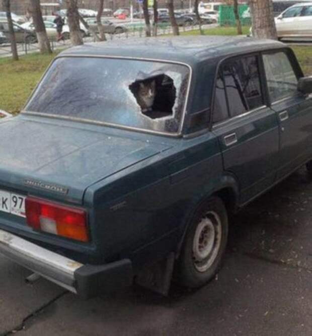 Это Россия, детка… (22 фото)
