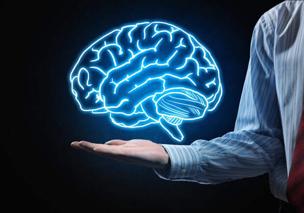 Мозг не знает боли интересно, исследования, мозг, наука, познание, ученые, факты, эксперименты