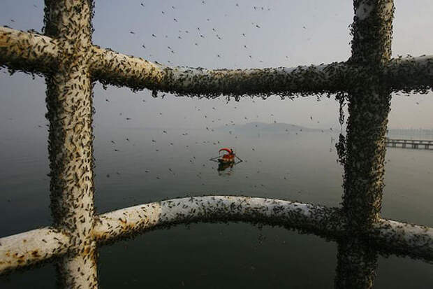 researcher-inside-a-smaller-tunnel