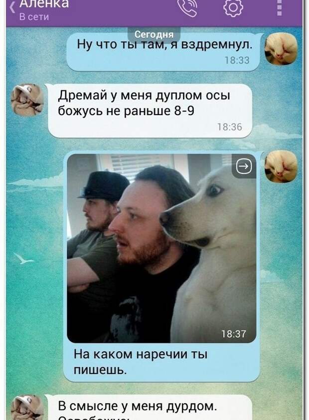 Новая партия уморительных коментариев из соцсетей Новая партия уморительных коментариев из соцсетей