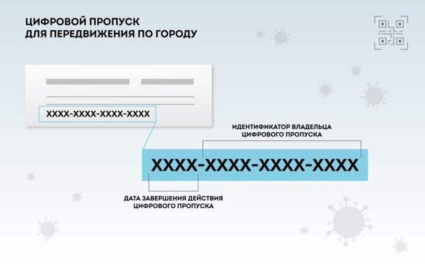 Пропуска в Москве будут цифровыми: разъясняем, как оформить, кто имеет право, куда обращаться