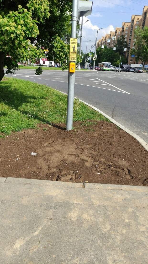 Ну работает же... Ну работает же...