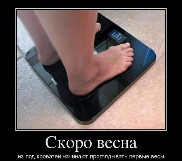 Весна идет - весне дорогу! Весна идет - весне дорогу!