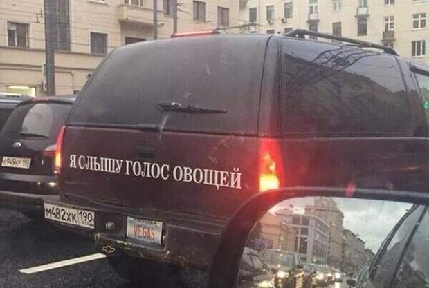 А тараканов в голове? А тараканов в голове?