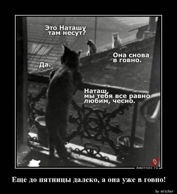 demotivatory-demotivator-smeshnye-demotivatory-demotivator-so-smyslom