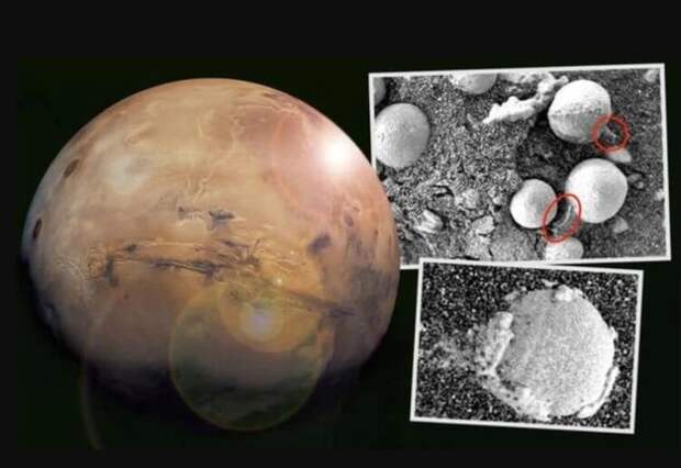 На фотоснимках Марса обнаружены грибы и плесень. Правда ли это?