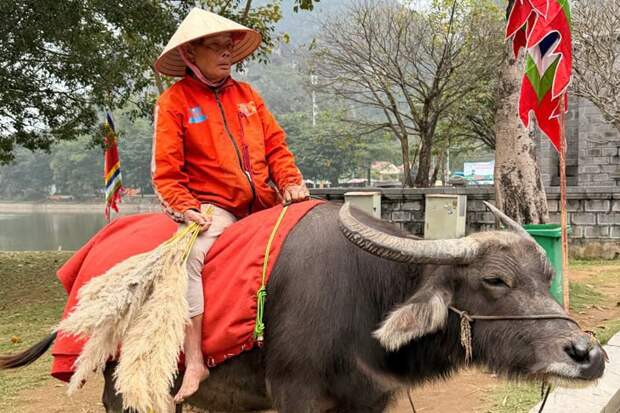 Из-за фиктивного брака с сибирячкой вьетнамца лишили права проживания в России