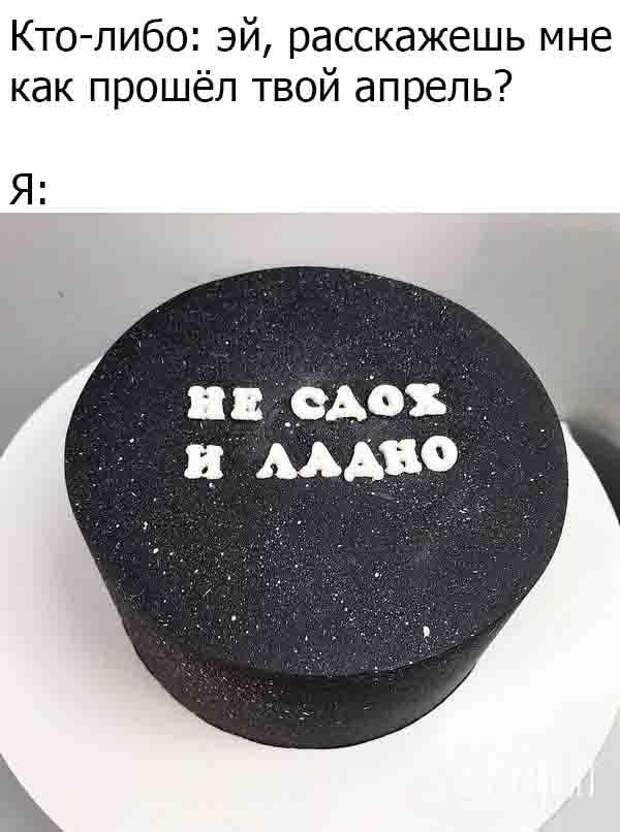 Подборка свежих прикольных картинок и фото (36 шт)
