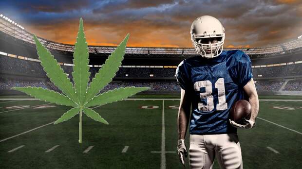 Nihon University Japan College Football Marijuana Drugs