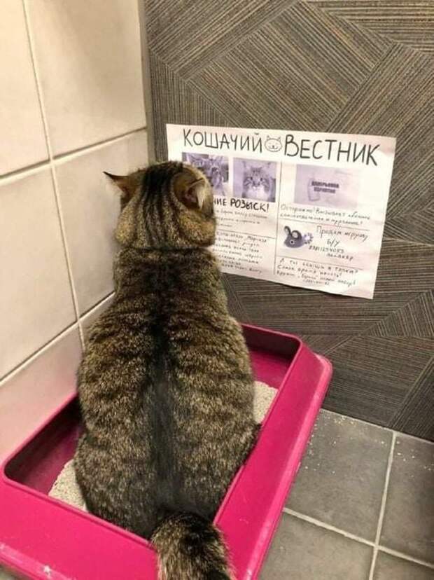 Нет описания фото.