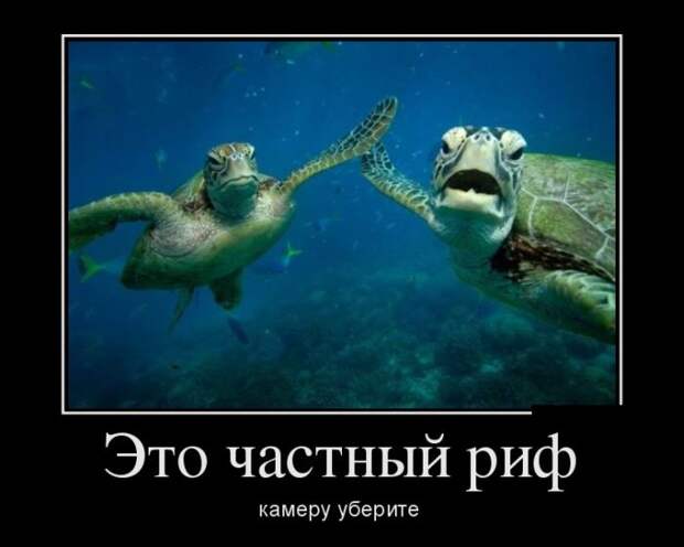 Демотиваторы (30 фото) Демотиваторы (30 фото)