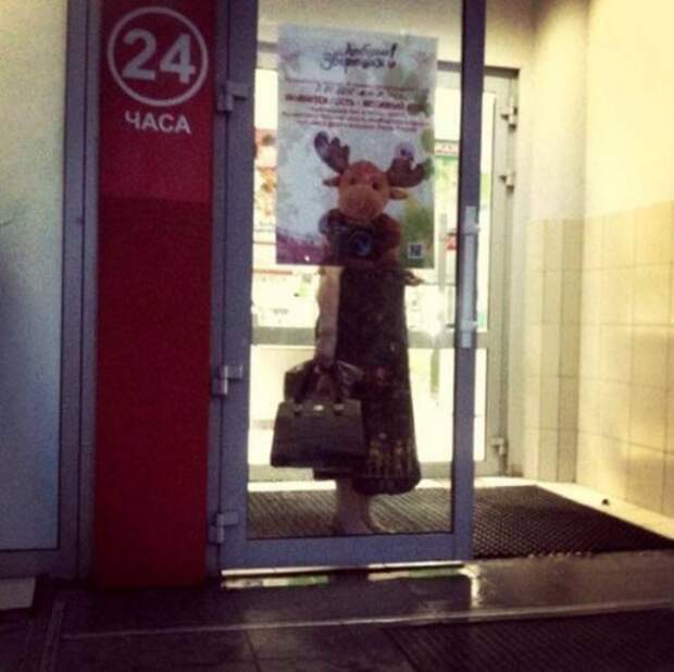 Оказалось, показалось (20 фото)