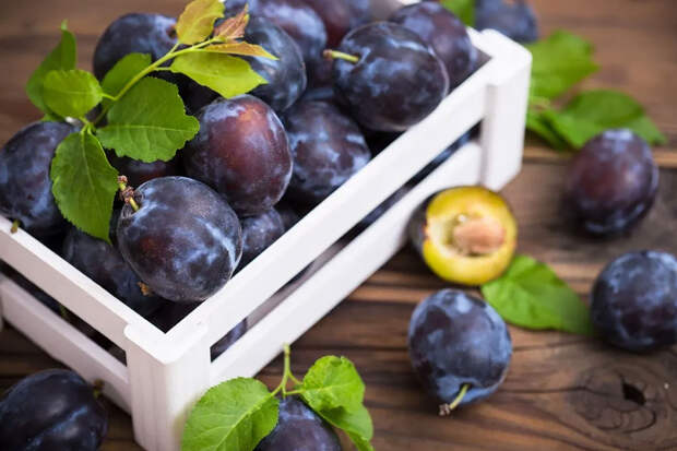 Гликемический индекс — слива