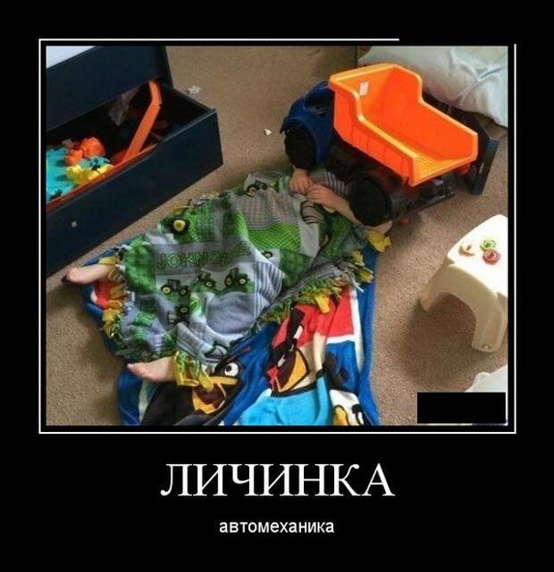 Пятничные демотиваторы для веселья (11 фото)