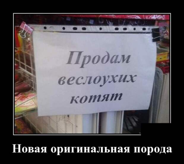 Демотиваторы (30 фото)