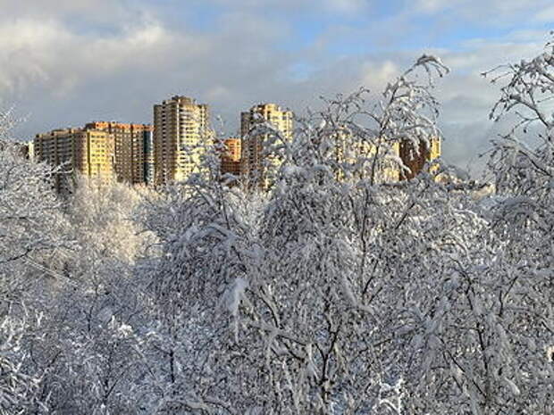 Начинается всероссийская перепись. Кого и как будут считать?