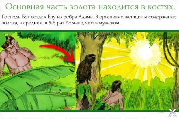 Происхождение человека из земли. Неожиданные открытия
