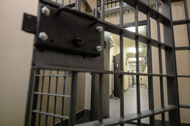 В России в 2025 году к пожизненным срокам приговорили 100 человек