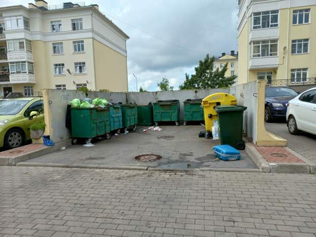 Жители Пушкина просят районную администрацию продезинфицировать мусорные контейнеры у детской площадки