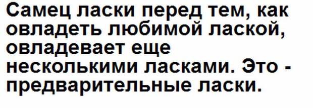 Глупые скрины. Глупые скрины.