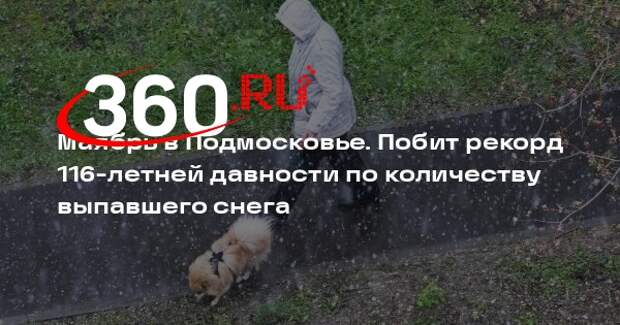 Тишковец: в Москве и Подмосковье выпало рекордное за 116 лет количество осадков