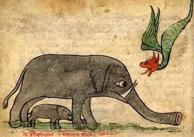 Как в Средневековье художники изображали слонов