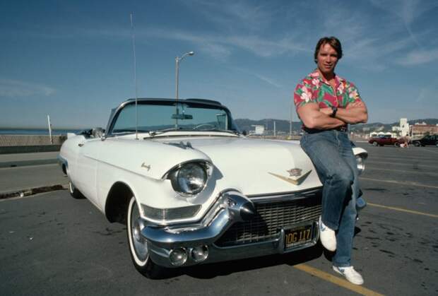 Красавец мужчина: Шварценеггер на фоне белоснежного Cadillac Eldorado 1957 вблизи популярного калифорнийского пляжа Venice Beach Арнольд Шварценеггер, авто, шварценеггер