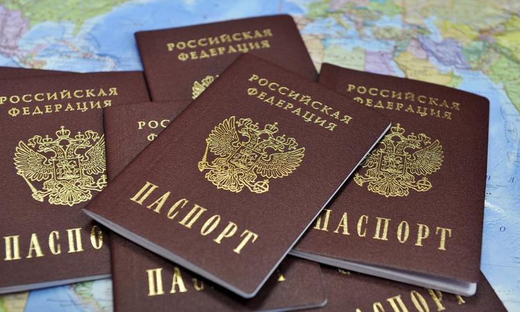 Криминальный Севастополь: в июле сын задушил мать, а воры не дремали