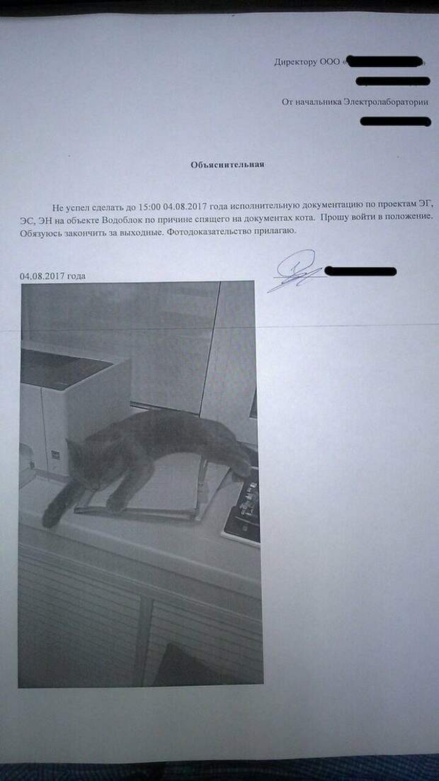 Накосячил? Пиши объяснительную!