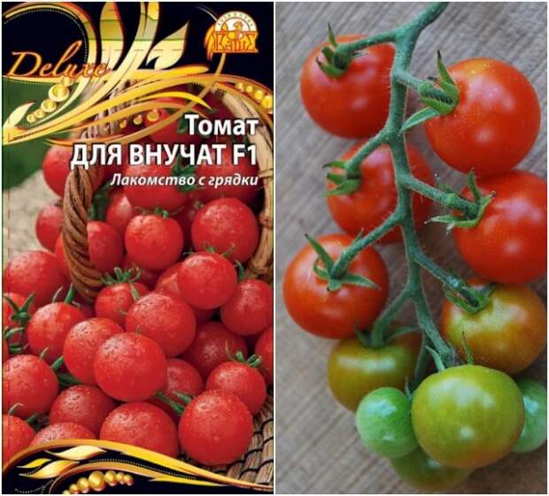 томат для внучат