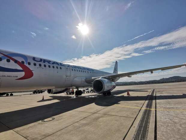 Сказал, что не специально: жених забыл паспорт в самолёте "Уральских авиалиний"