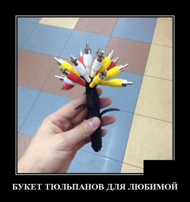 Демотиваторы (30 фото)