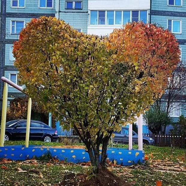 Подборка забавных фото и милых картинок из нашей жизни Подборка забавных фото и милых картинок из нашей жизни