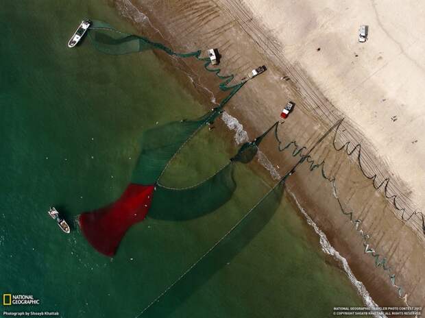 natgeowllppr26 natgeowllppr26 990x742 Обои для рабочего стола от National Geographic за июнь 2013