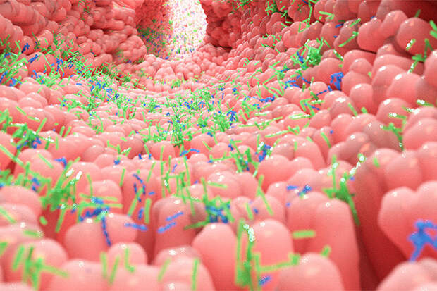 Андрей Коняев объясняет, как безвредная операция стала смертельно опасной