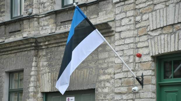 Президент Эстонии захотел поставить Россию на колени