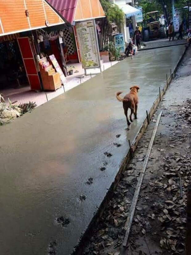 Дерьмо случается
